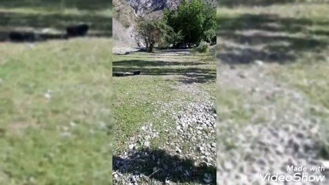 Отдых на природе с родственниками и друзьями в Могиён. друзья не забудьте подписаться на канал...