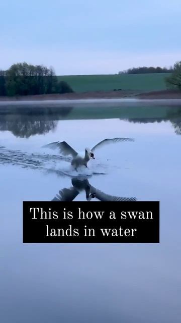 1000058722.mp4
