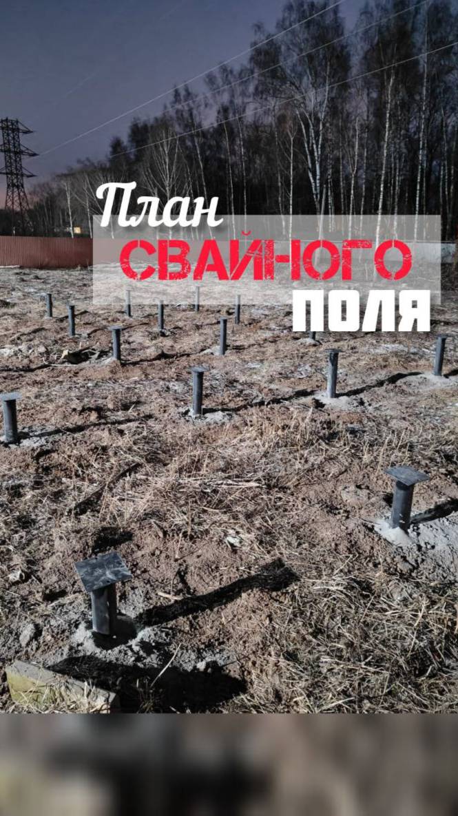 План свайного поля