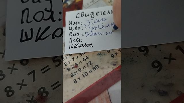 1 день перед днём рождения! готовимся к приезду новой лори-колори , лори-колори Юки!