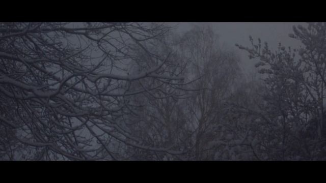 13 февраля 2021 г.