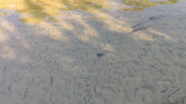 VID_20240907_084957