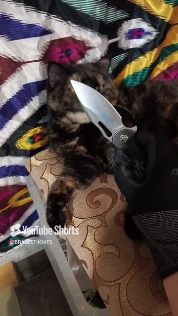 Отличный не извесный нож, D2. #edcknife #edc #D2 #складнойнож #ножидляохоты  #blade #нождлярыбалки