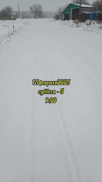 15февраля2025