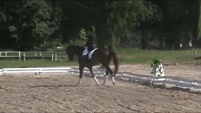 КПЮ. 55.541%. Диана и Хоф. ОДМ в Гомеле