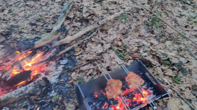 VID_20240324_183812