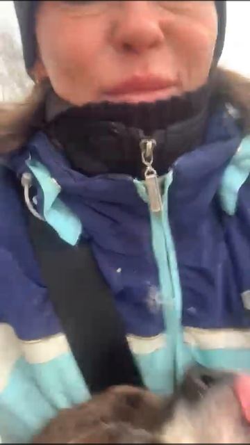 Кентавр