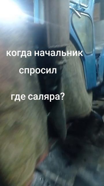 16-02-2025