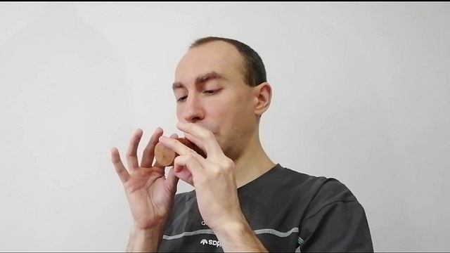 Окарина Сливовая в ключе А (пентатоника) | Ocarina Plum in the key A (pentatonic)