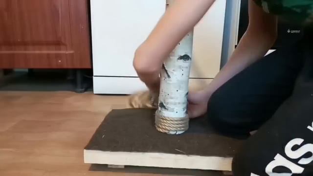 Сделал когтеточку для Айкара. (02.25г.) Семья Бровченко.