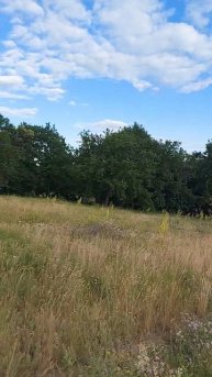 Красота наших просторов!