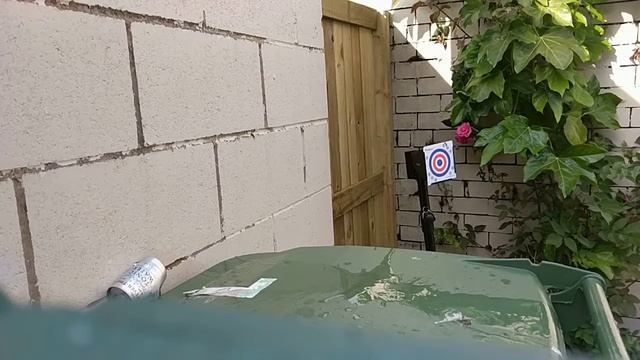 .177 air gun slow motion