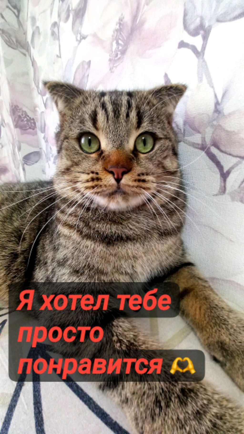 подписка взаимно друзья 🎀🎀🎀