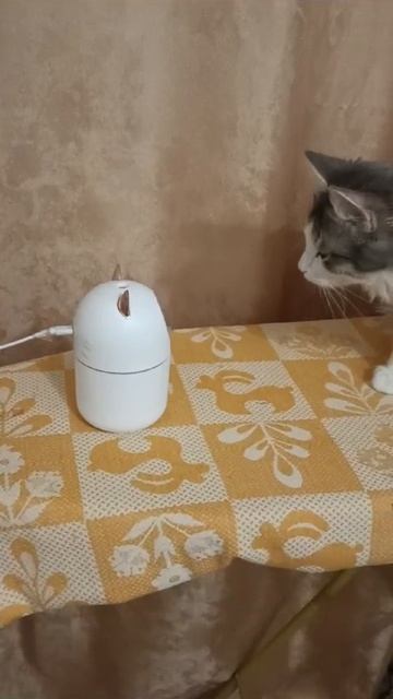 знакомство