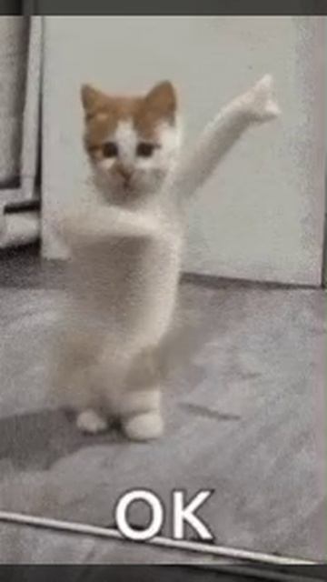 1000023455.mp4