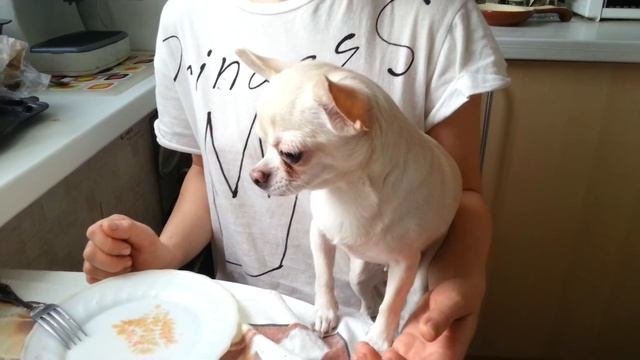 Хны!