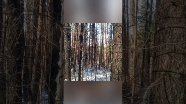 Видео_Яркие воспоминания_1728865674