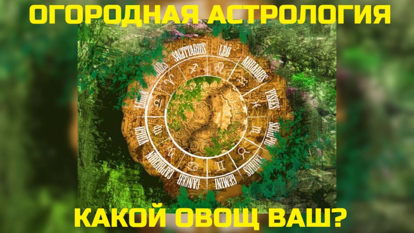 ОГОРОДНАЯ АСТРОЛОГИЯ. КАКОЙ ОВОЩ ВАШ?