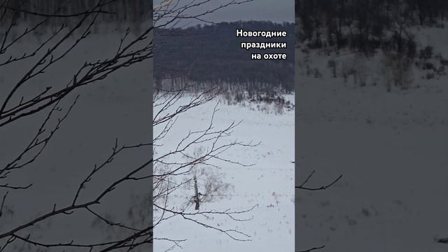 С наступившим Новым годом  Выехал на охоту в Башкирию #nature#природа#russia#зима#shortvideo#shorts