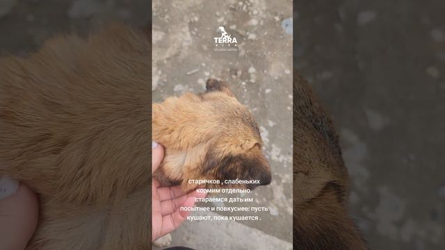 дорогие мои старички