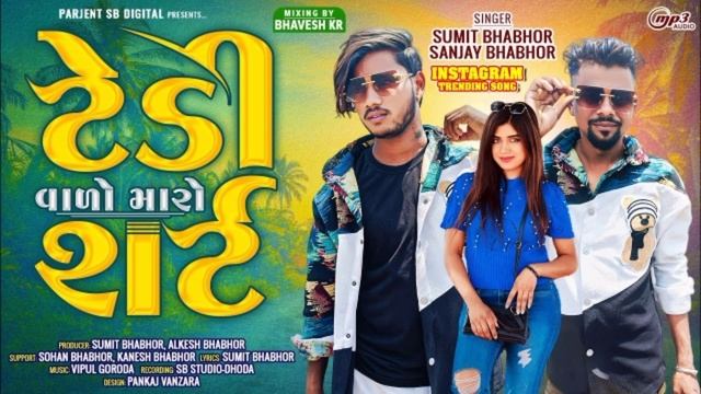 Tedi Vala Maro shirt || Instagram Viral Trending SONG || Sumit Bhabhor Sanjay Bhabhor 2024