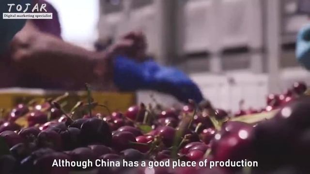 FOREIGN FRUIT EXPORTS TO CHINA HAVE ADVANTAGES