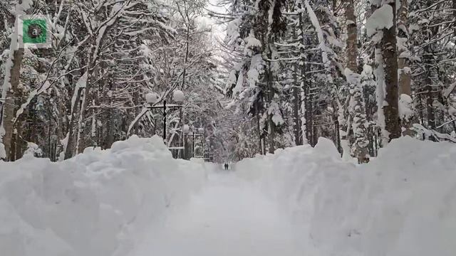 Прогулка в парке после метели.