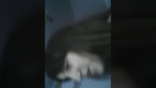VLOG :  смотрю Машу Вэй 8.01.16