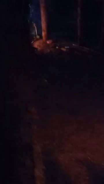 Ночевка в лесу с костерком