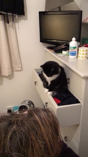 Milly the hair stylist