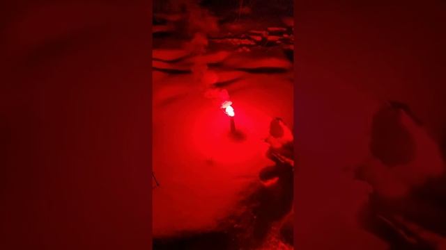 Японский фальшфеер -2,