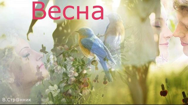 Весна - Вадим Странник