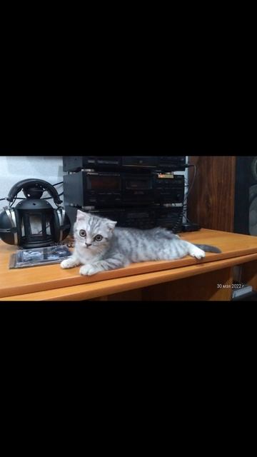 6e438884-413a-4e20-a50c-23dbccff97b5-1_all_11350.mp4