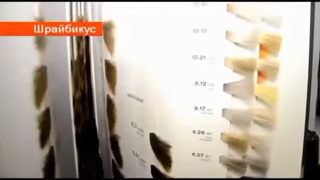 Рубрика "Стильно|Мобильно" // программа "Шрайбикус"