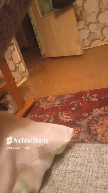 1000037573.mp4