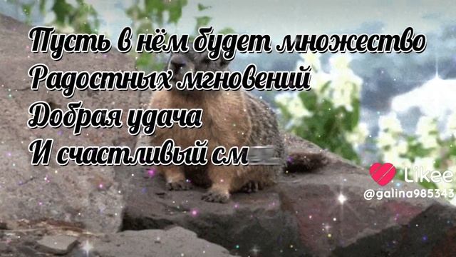 Добрый вечер!