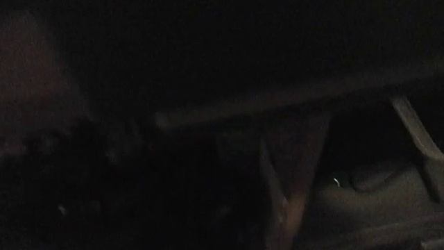 Попугай ест ево еду пародия жако