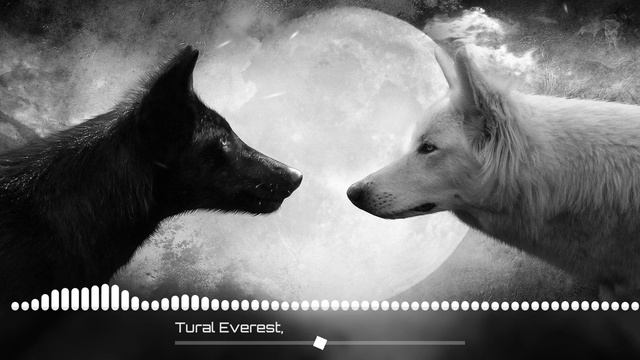 Tural Everest, Руслан Добрий - Волки мы в ночных лесах