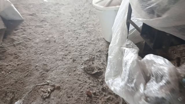 1000007736.mp4
