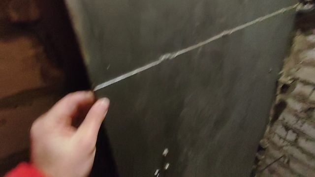 VID_20250215_135639