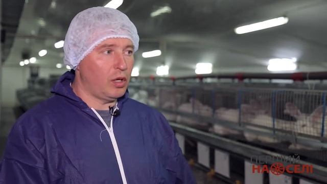 Де вирощують пухнастих звірів