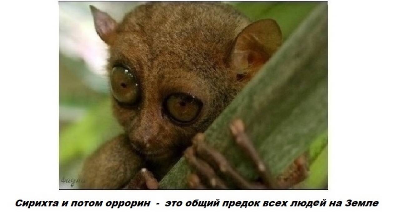 3.8  Выживание - это только частично конкуренция   в случаях альтернативных ресурсов
