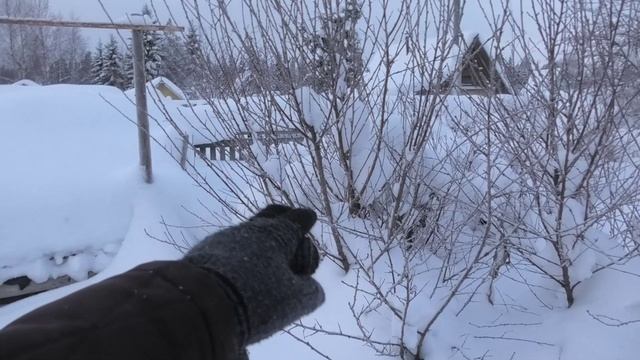 20-28 12 2021г дача пихта