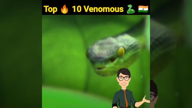 Top 🔥10  Most venomous snake in India #short