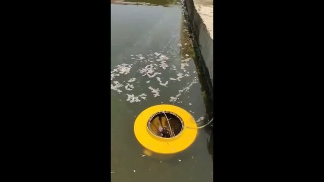 Почистить водоём — легко!