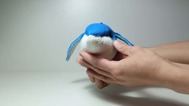 Синеглазые дельфины 🐬