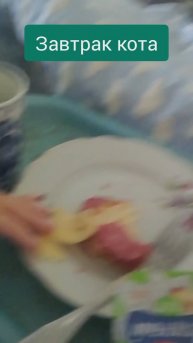 Завтрак кота
