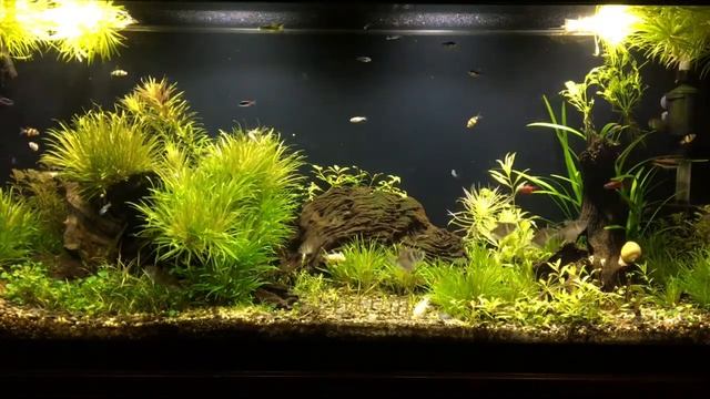 210 L - MARCH 2017