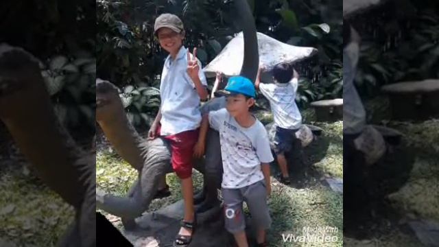 Lip Ảnh Ngô Tấn lin