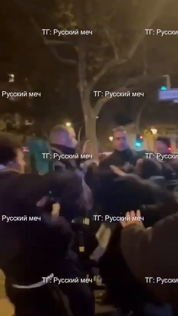 Арабы поздно вечером в Германии возвращались с палестинского митинга и вели себя очень громко !!!